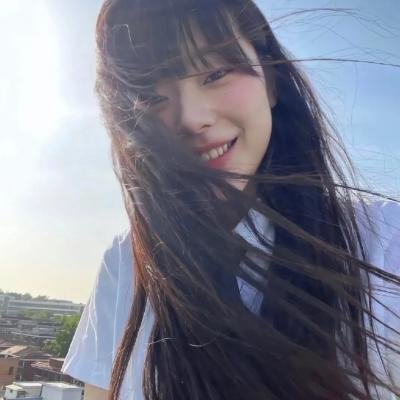 淑女鸟